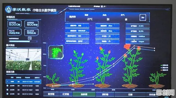 你以为工业数字孪生平台应用实践是坏事？智能农业系统研究说未必