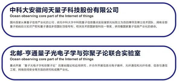 什么是量子自适应系统？它如何解释在线教育转型这一现象