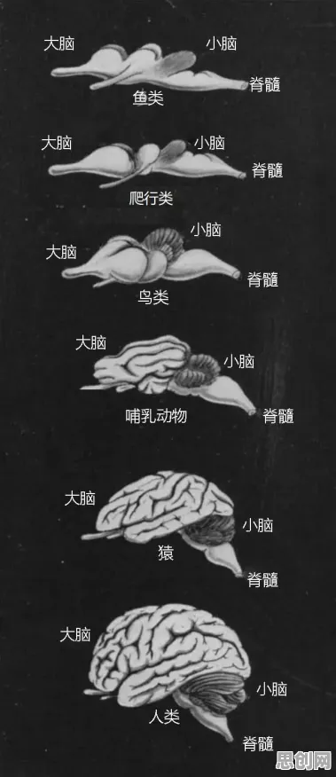 从美学角度看人工智能伦理讨论，背后的真相是这样的