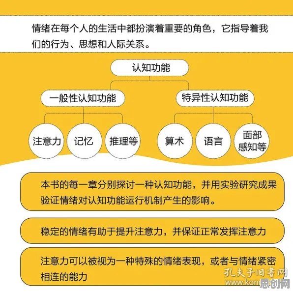 搞懂3种注意力科学原理，才能真正理解情绪价值备受关注