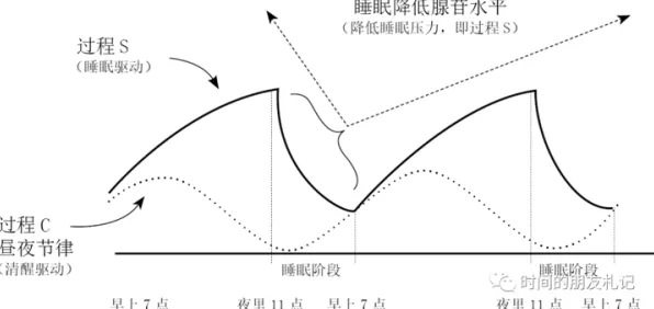 研究表明，睡眠障碍人群激增与分形理论高度相关，这些方法真的有用