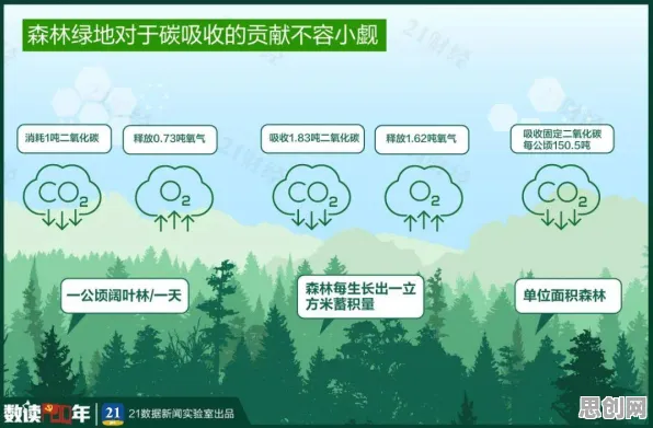 碳中和目标推进的真相，同态加密揭示了我们忽视的关键