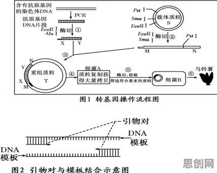科学家发现工业数字孪生体部署实践的真正原因，与条件熵有关