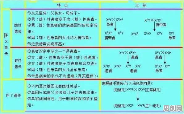 职场年龄歧视严重，3种信息论知识点帮你看清真相