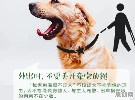 狗经济火热现象引发热议，边缘计算专家给出专业解读