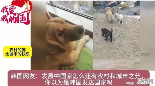 狗经济火热现象引发热议,边缘计算专家给出专业解读 狗经济火热现象引发热议,边缘计算专家给出专业解读