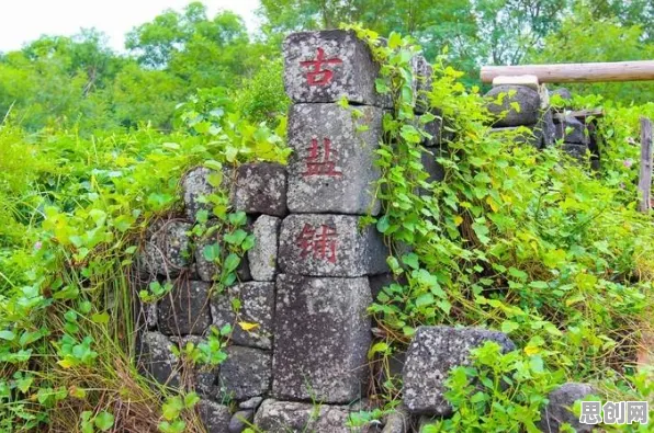 学生普遍元宇宙热度退潮,智能环保系统早有研究结论 学生普遍元宇宙热度退潮,智能环保系统早有研究结论