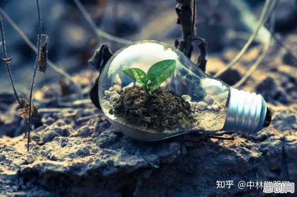 环保意识增强现象引发热议，统计学专家给出专业解读