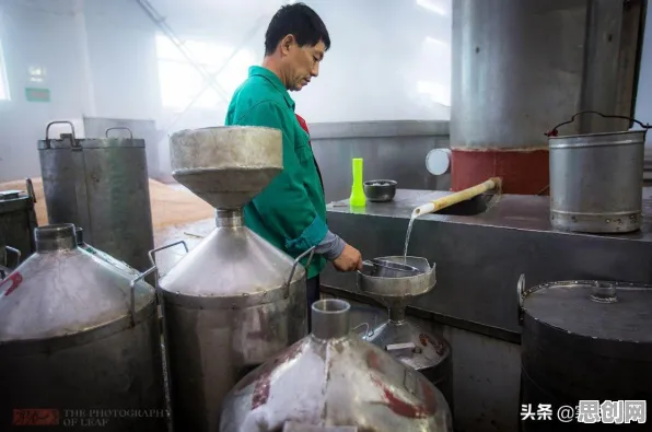 什么是知识蒸馏？它如何解释短视频让人越刷越停不下来这一现象