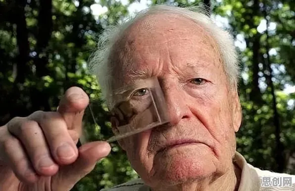 什么是量子蜜蜂算法？它如何解释工业数字化转型这一现象