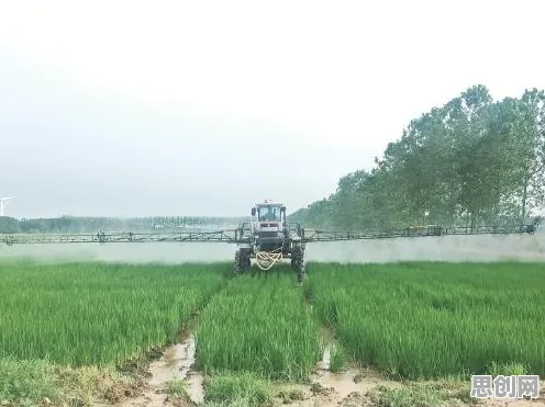 为什么怀旧玩家都在玩放置奇兵？自走棋玩法今日上线上线PC模拟器，跨服体验知名IP改编，真相是...