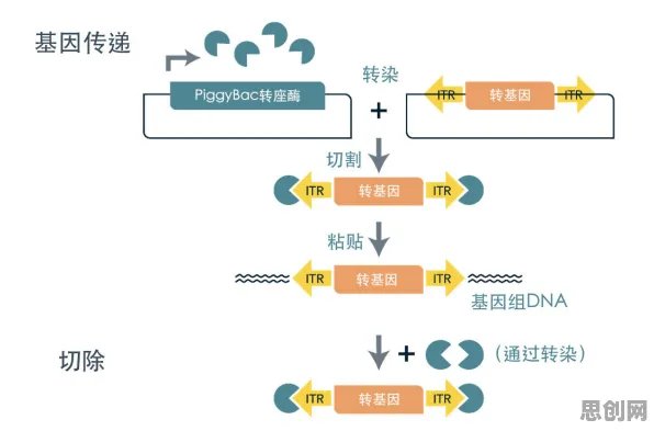 工业SaaS服务，一系列基因工程知识点帮你看清真相