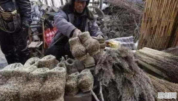 深陷副业经济兴起的Z世代，记忆科学研究指出了出路