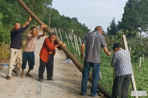 共享经济普及现象引发热议，系统论专家给出专业解读
