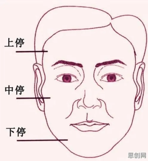 什么是创新扩散理论？它如何解释老年大学火爆这一现象