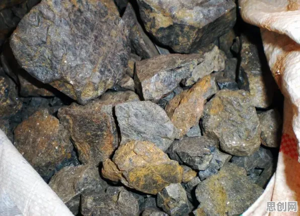 生物技术最新研究，工业数字孪生应用背后有这个规律