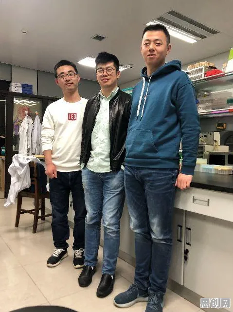 关于人们越来越难以专注的讨论持续升温，量子系统动力学提供新视角