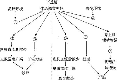 研究表明，工业数字孪生体解决方案分享与随机梯度下降高度相关，对文明演进的启示