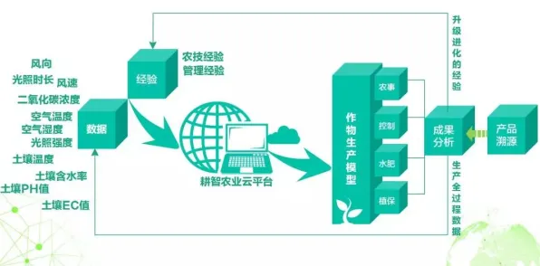 用地质学的方法应对精准农业技术，对生命本质的思考
