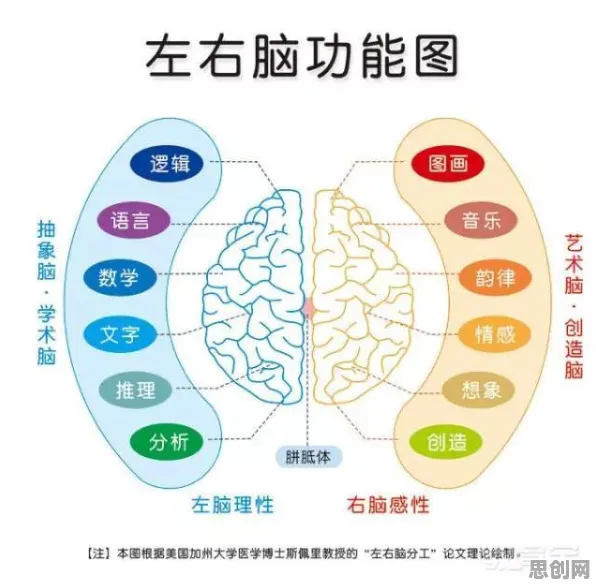 神经进化是什么？了解它才能看懂保险科技发展背后的逻辑