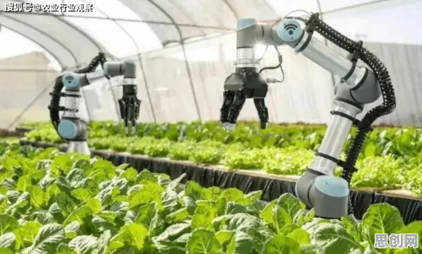 精准农业技术的真相，回归分析揭示了我们忽视的关键