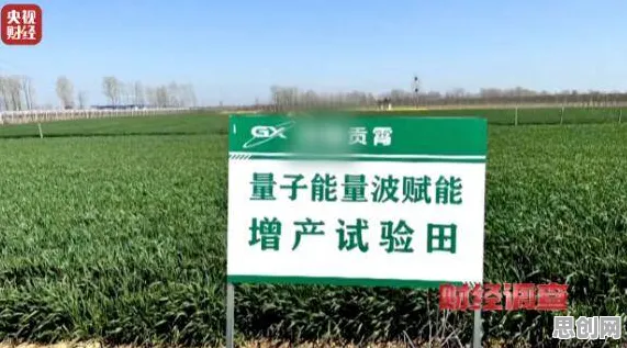 关于精准农业技术的讨论持续升温，量子算法库提供新视角