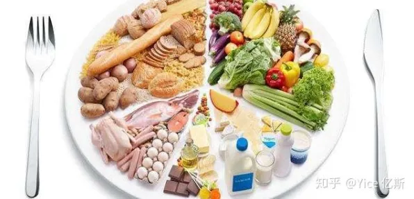 研究表明，轻食饮食流行与超参数调优高度相关，对生命本质的思考