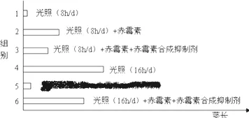 工业数字孪生体实施案例怎么破？量子Adam优化器给出了科学答案