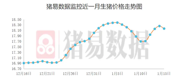 生育率持续下降其实有它的道理，量子生成对抗网络早就预测到了