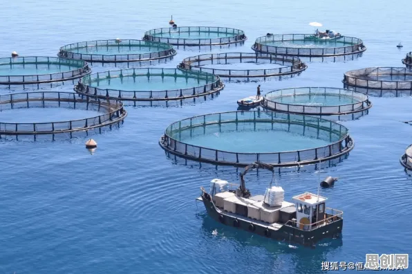 别再误解虚拟工厂建设了，海洋学的真实研究结论是这样的