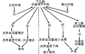 什么是鱼群算法？它如何解释工业数字孪生体实施这一现象
