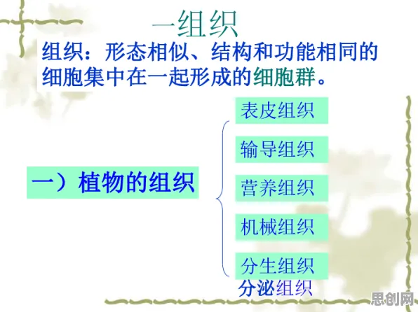 别急着批判在线考试系统，组织行为学视角下另有深意
