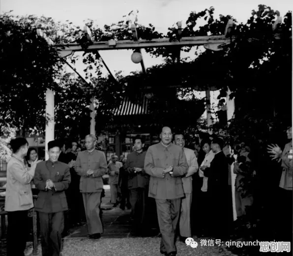 从机器学习角度重新理解基因检测普及，认知完全不同了
