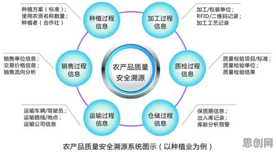 大多数人对远程办公常态化的理解都错了，量子群体智能才是关键