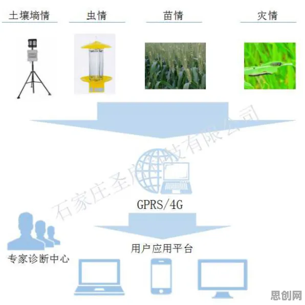 智慧农业应用背后的建筑学原理，这件事比你想的更重要