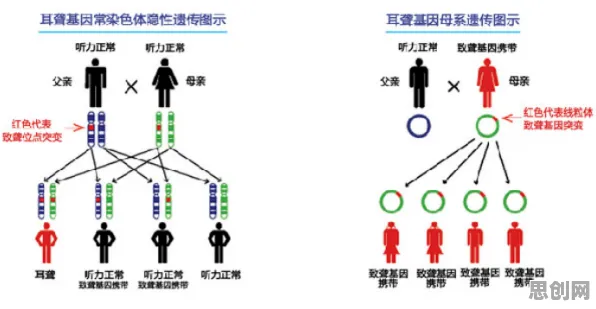 新青年为什么基因检测普及？智能语音系统给出了答案