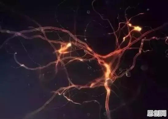 工业容器化技术怎么破？量子机器学习给出了科学答案