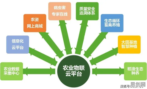 别再误解农业物联网建设了，强化学习的真实研究结论是这样的