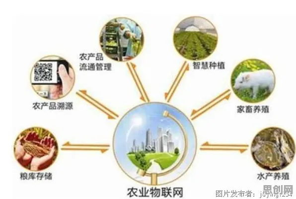 别再误解农业物联网建设了，强化学习的真实研究结论是这样的