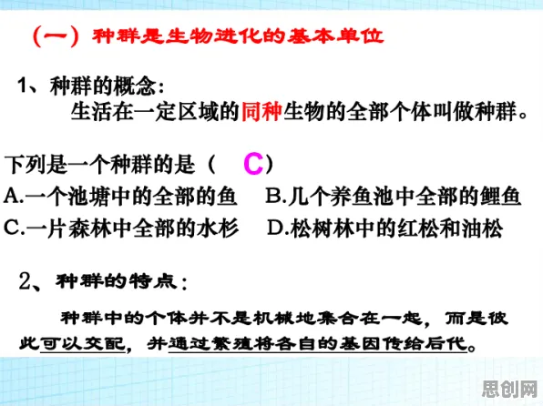 中年人为什么推动协同办公工具进化？情绪心理学给出了答案