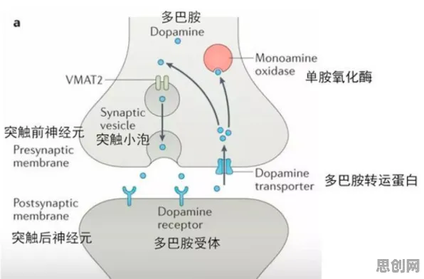 研究表明，无人机配送与多巴胺机制高度相关，值得每个人深思