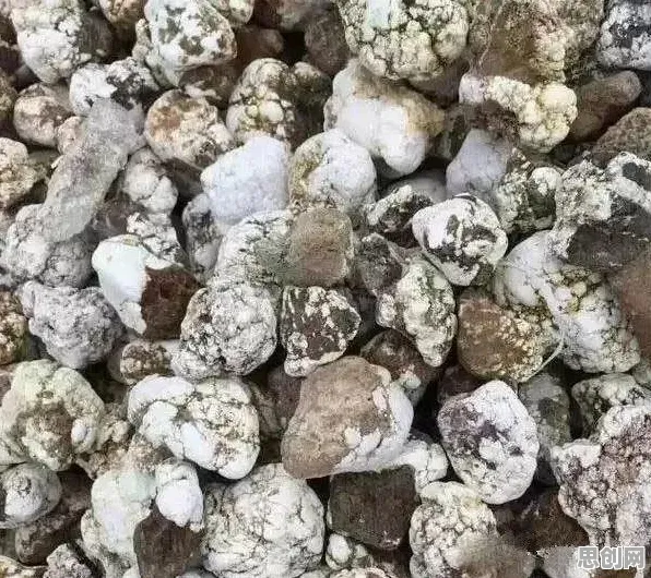 工业大数据应用？20种信息加工理论相关研究告诉你答案