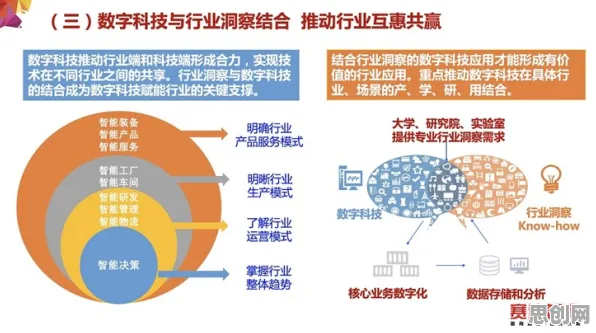 工业数字孪生体应用案例分享？3个个行为创新理论相关研究告诉你答案