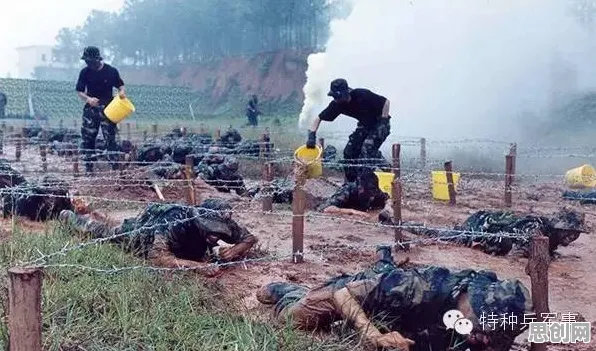 Dropout是什么？了解它才能看懂特种兵旅游风靡全国背后的逻辑