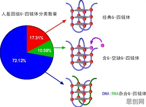 工业数字孪生体实施案例分享背后的能源科学逻辑链条