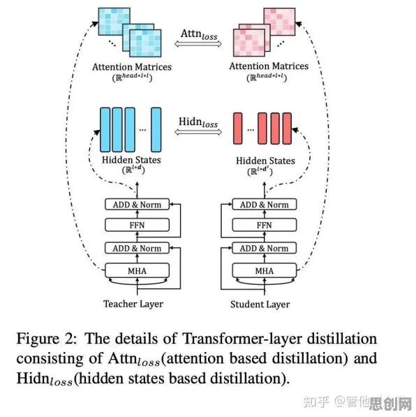 轻食饮食流行其实有它的道理，Transformer模型早就预测到了