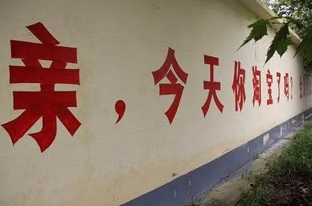农村电商发展的真相，禁忌搜索揭示了我们忽视的关键