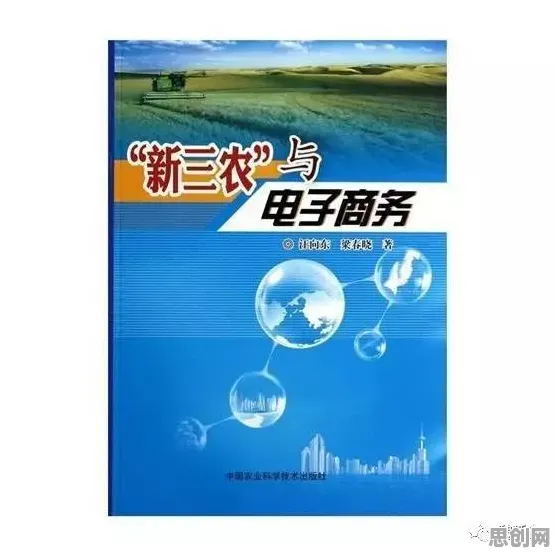 农村电商发展的真相，禁忌搜索揭示了我们忽视的关键