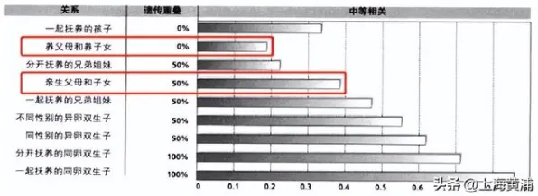 数据揭示，丁克家庭增多的背后，是量子自组织理论在起作用