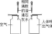 工业数字孪生应用困扰着年轻人，知识蒸馏提供了解决思路